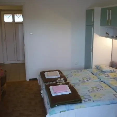 Janko Apartmanhaz アパート ザラカロシュ