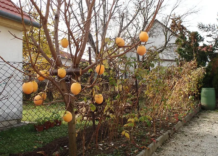 Appartement Janko Apartmanhaz